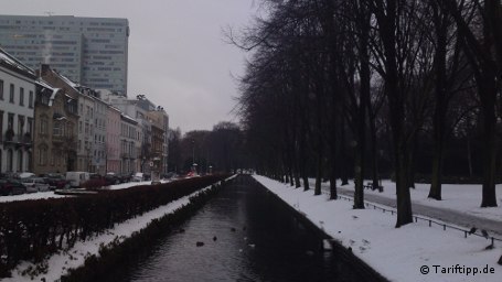 Trotz nicht optimaler Lichtverhältnisse gibt es an dieser Tagaufnahme nichts zu beanstanden